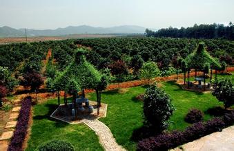 ����ǩԼ��������԰�� PM2԰����ҵ�ٴ��¸� 