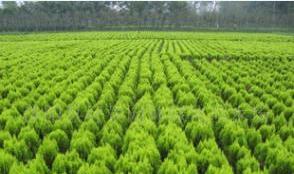 ������ǩ԰����ҵ PM2�����Ĵ�����԰����Ϣ��